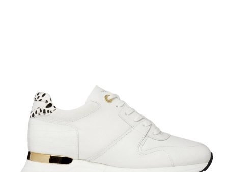 Miss Mallet Almorah White Croc Trainers For Cheap