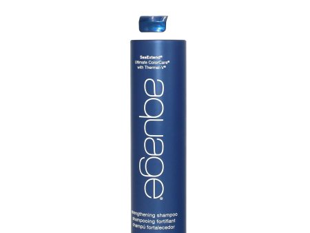 AQUAGE SeaExtend Ultimate ColorCare Strengthening Shampoo 10 oz For Discount